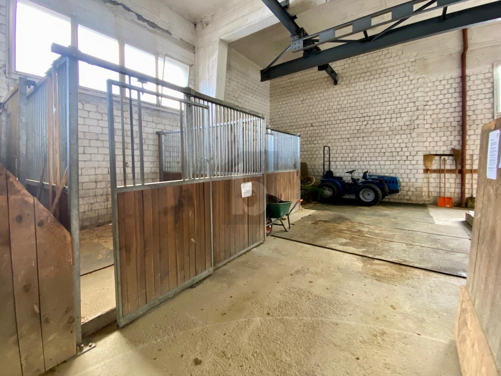 REITHALLE ZUR HÄLFTE IM MITEIGENTUM - 2