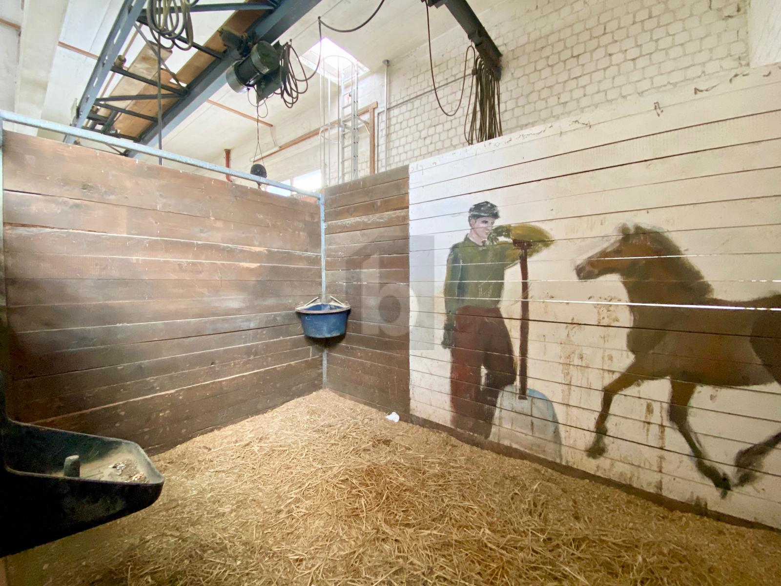 REITHALLE ZUR HÄLFTE IM MITEIGENTUM - 3