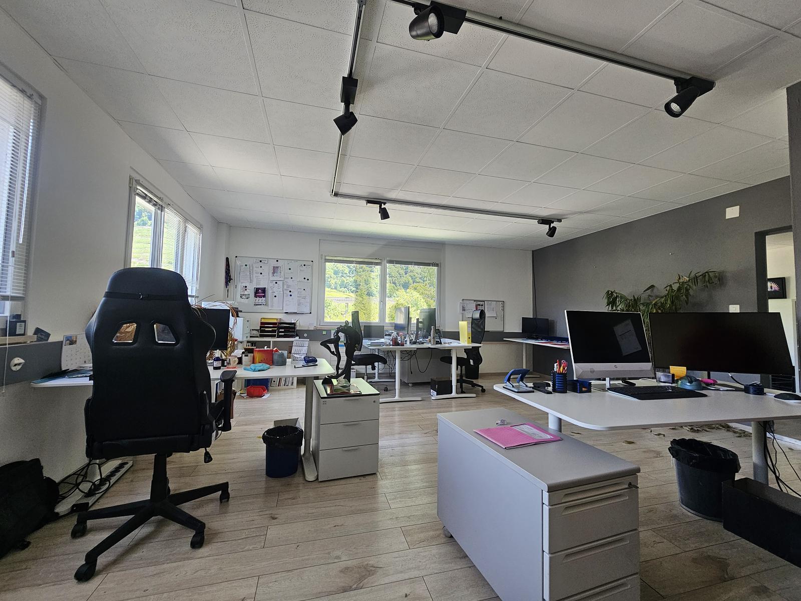 GRANDE HALLE AVEC MEZZANINE ! - 2