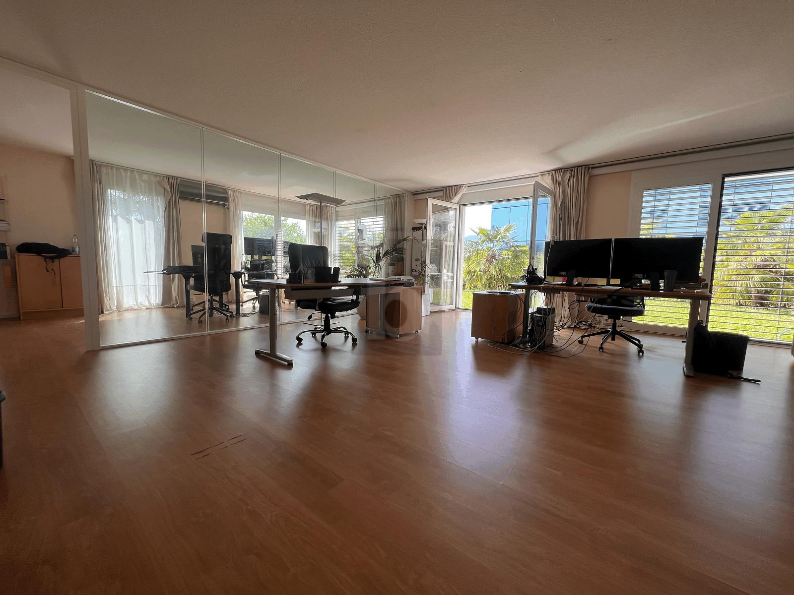 BUREAU AVEC JARDIN - 3