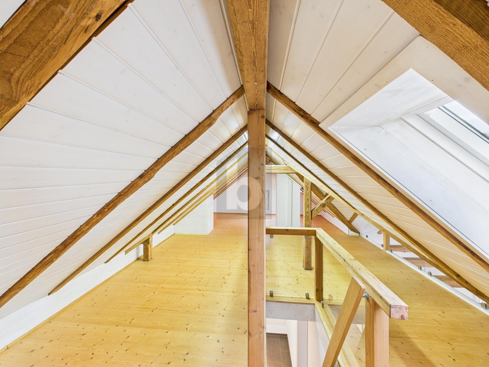 ZENTRAL, NATURNAH MIT GROSSER KÜCHE - 3