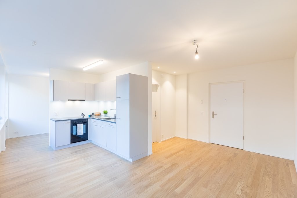 Ein Traum in Herzen von Basel - 2