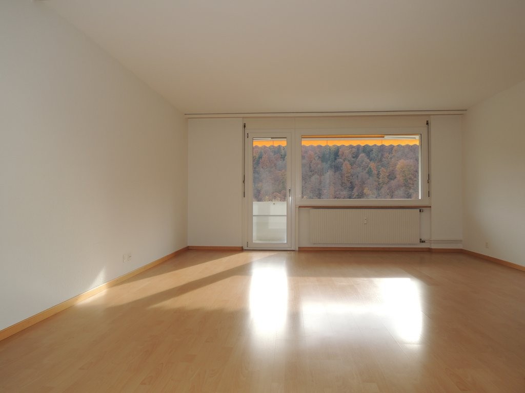 Wohnen in der Nähe der Aare - 1