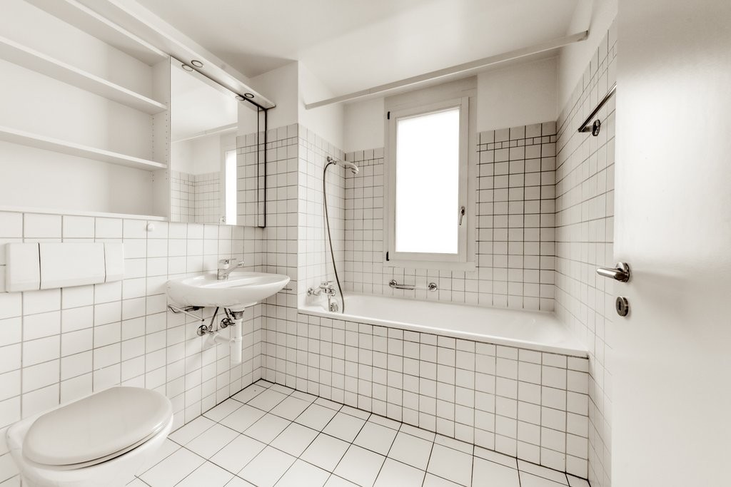 Nouveau ! Superbe appartement près du lac de la Gruyère ! - 6