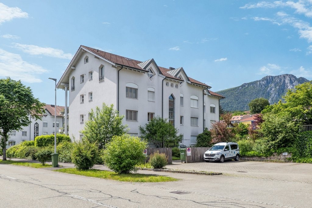 Grosse Wohnung plus 50m2 Galerie - 1