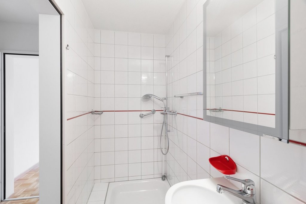 Grosse Wohnung plus 50m2 Galerie - 7