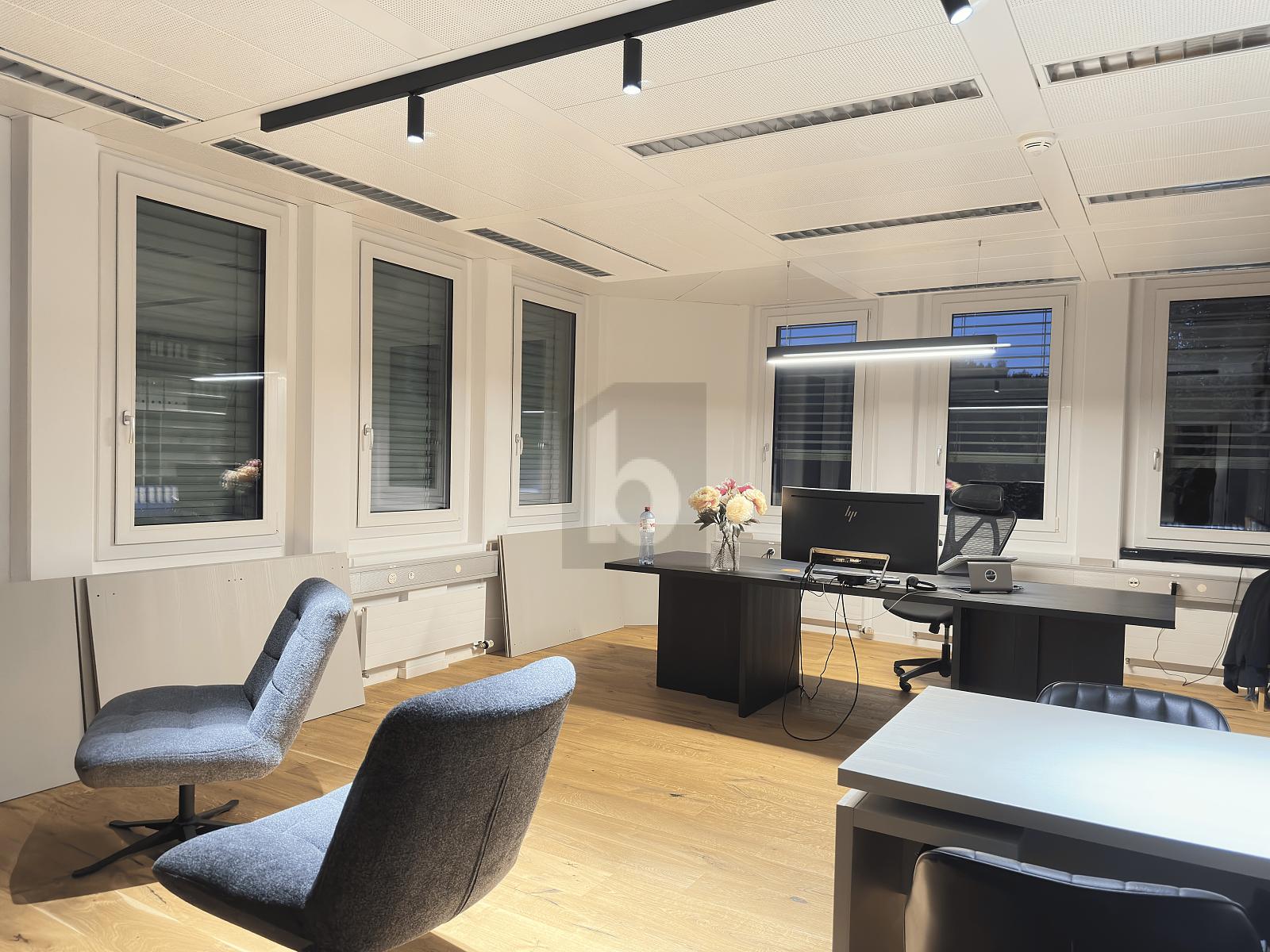 REPRÄSENTATIVE FLÄCHE, BESTE ANBINDUNG - 1