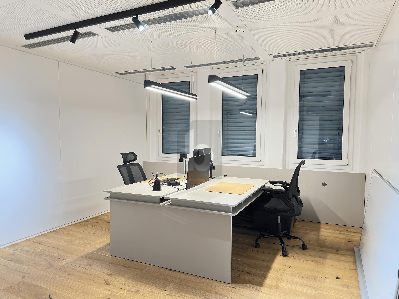 REPRÄSENTATIVE FLÄCHE, BESTE ANBINDUNG - 3