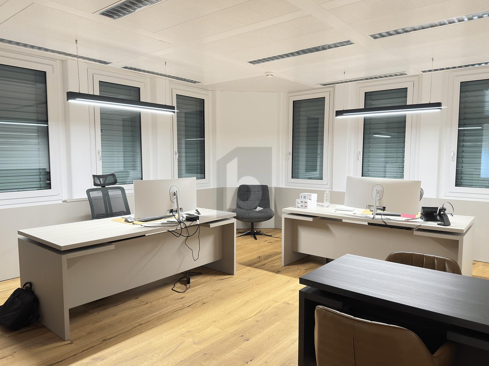 REPRÄSENTATIVE FLÄCHE, BESTE ANBINDUNG - 4