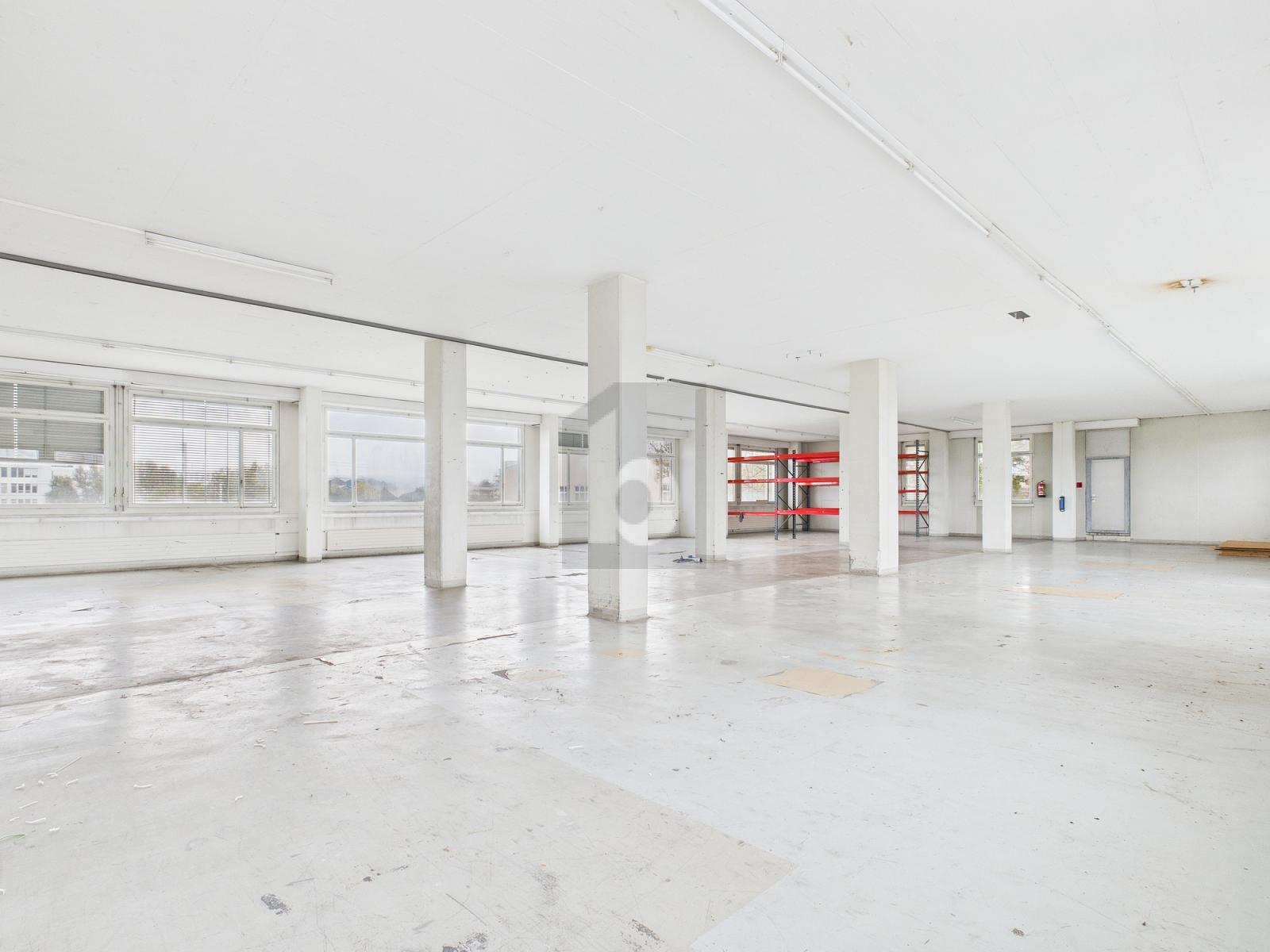 GROSSE FLÄCHE AN GUTER LAGE - 0