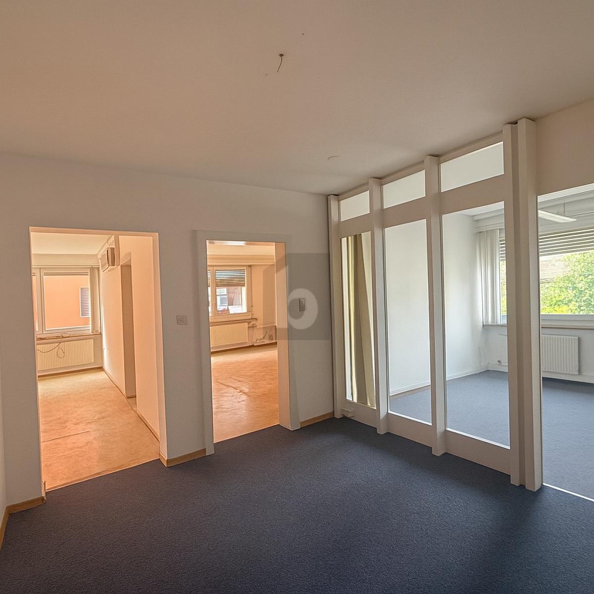 LUMINUEX, FLEXIBLE ET POLYVALENT - 3