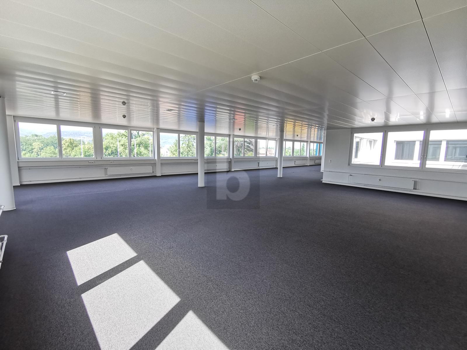 GROSSZÜGIG, HELL UND AN GUTER LAGE - 0