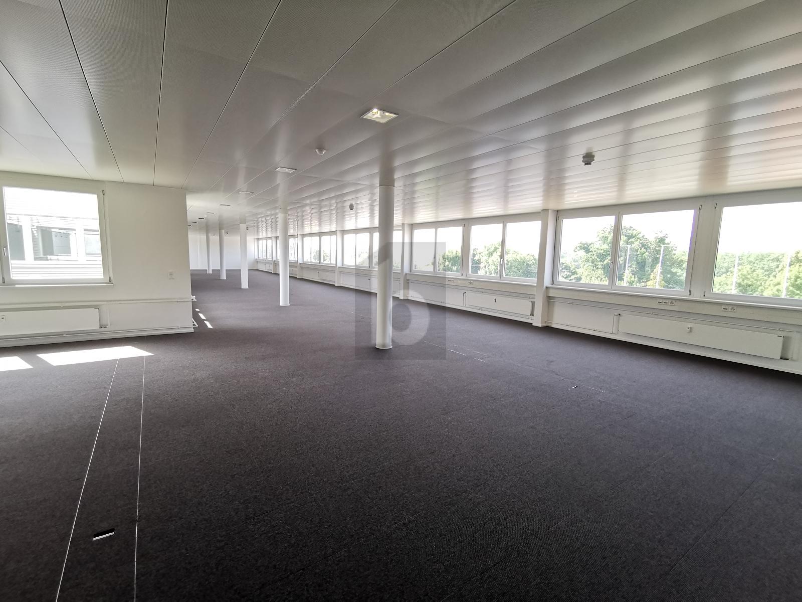 GROSSZÜGIG, HELL UND AN GUTER LAGE - 1