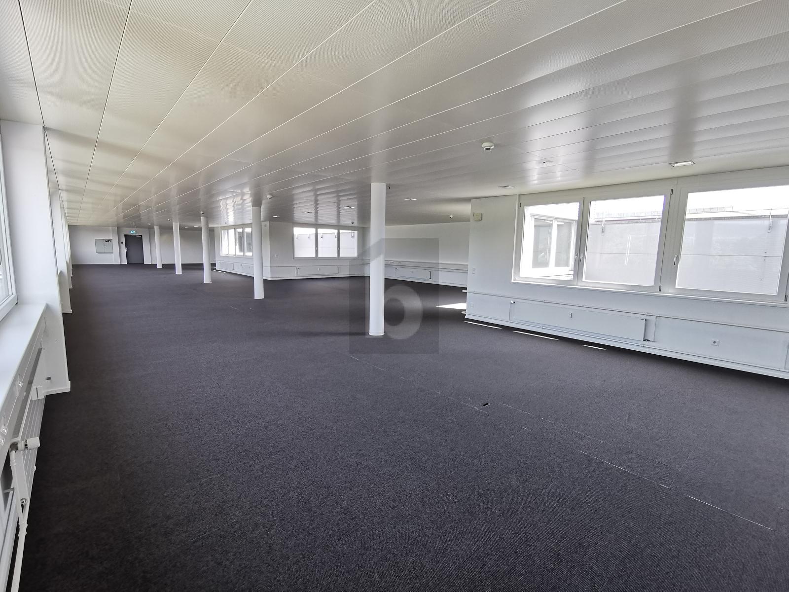 GROSSZÜGIG, HELL UND AN GUTER LAGE - 2