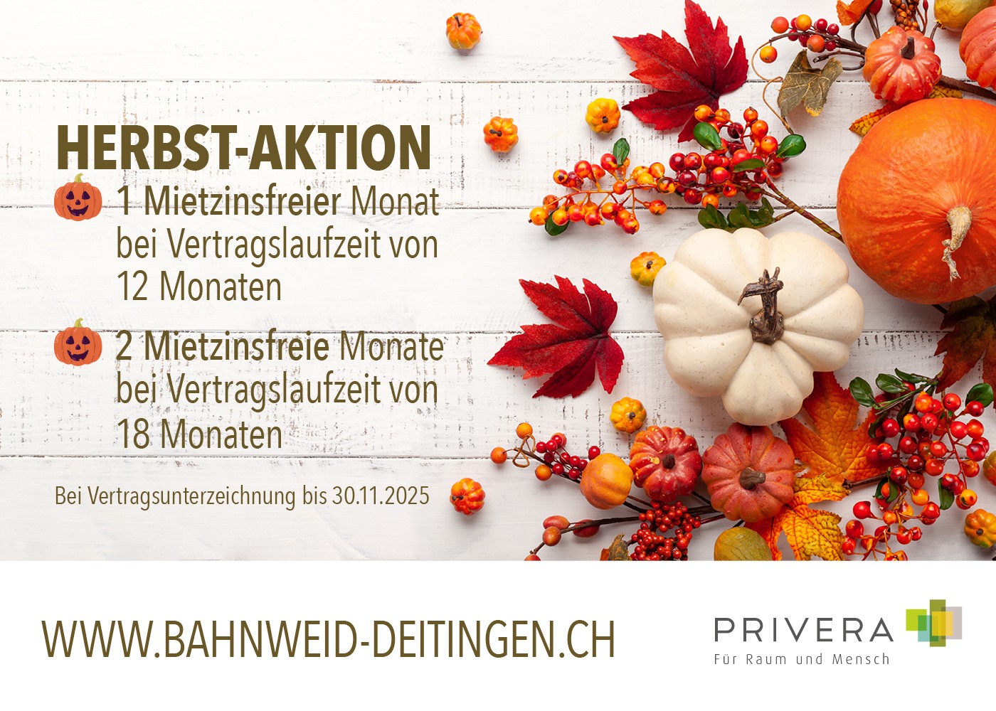 1 Monat GRATIS - ERSTVERMIETUNG BAHNWEID in Deitingen  HOCHWERTIGES WOHNEN IN MODERNER ARCHITEKTUR - 0