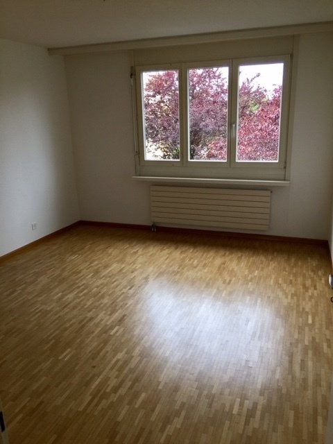 Hier endet Ihre Wohnungssuche - 1