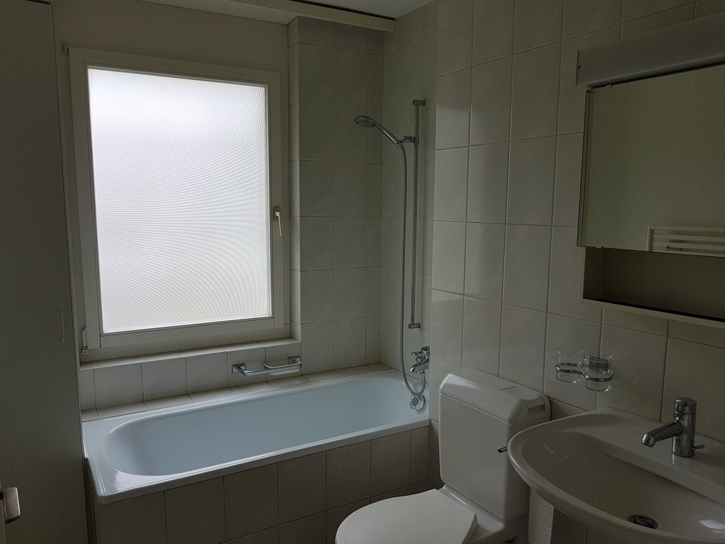 Grosszügige 3.5-Zimmerwohnung im Zentrum von Glattfelden - 1