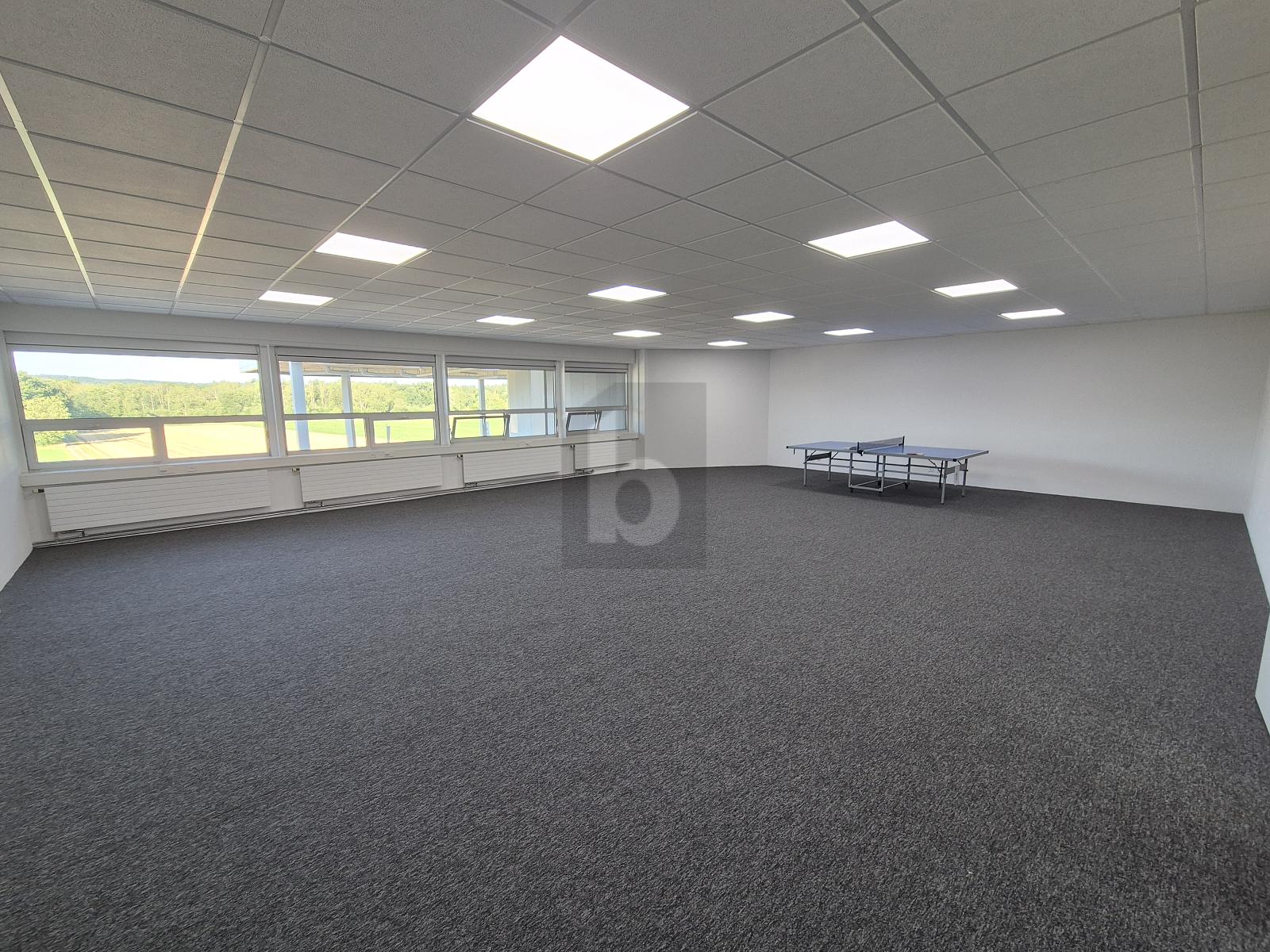 GROSSZÜGIGES UND ATTRAKTIVES BÜRO - 4