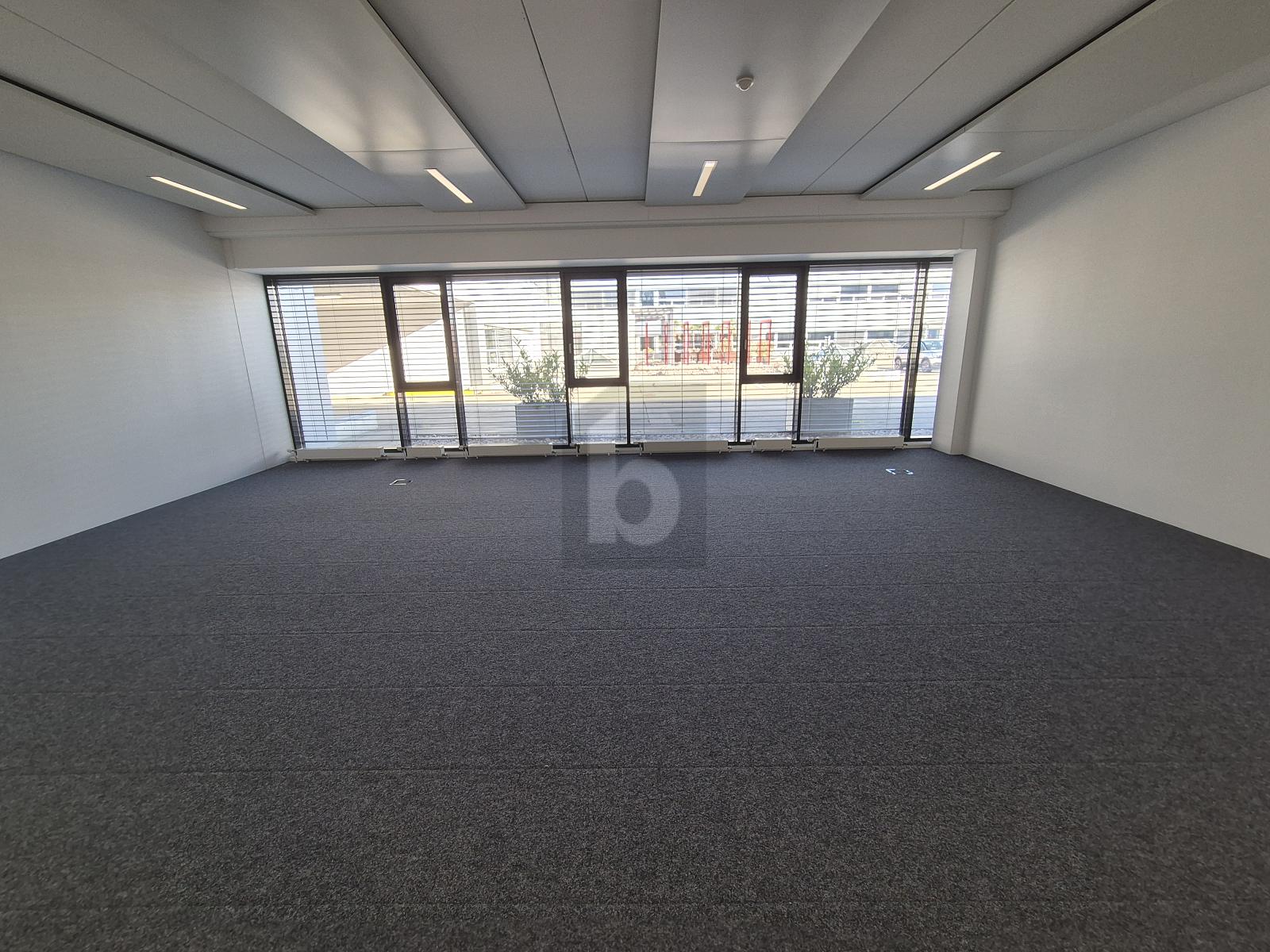 HELLES UND ATTRAKTIVES BÜRO - 0