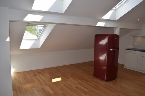 Exklusive Single-Loftwohnung im Dachgeschoss - 3