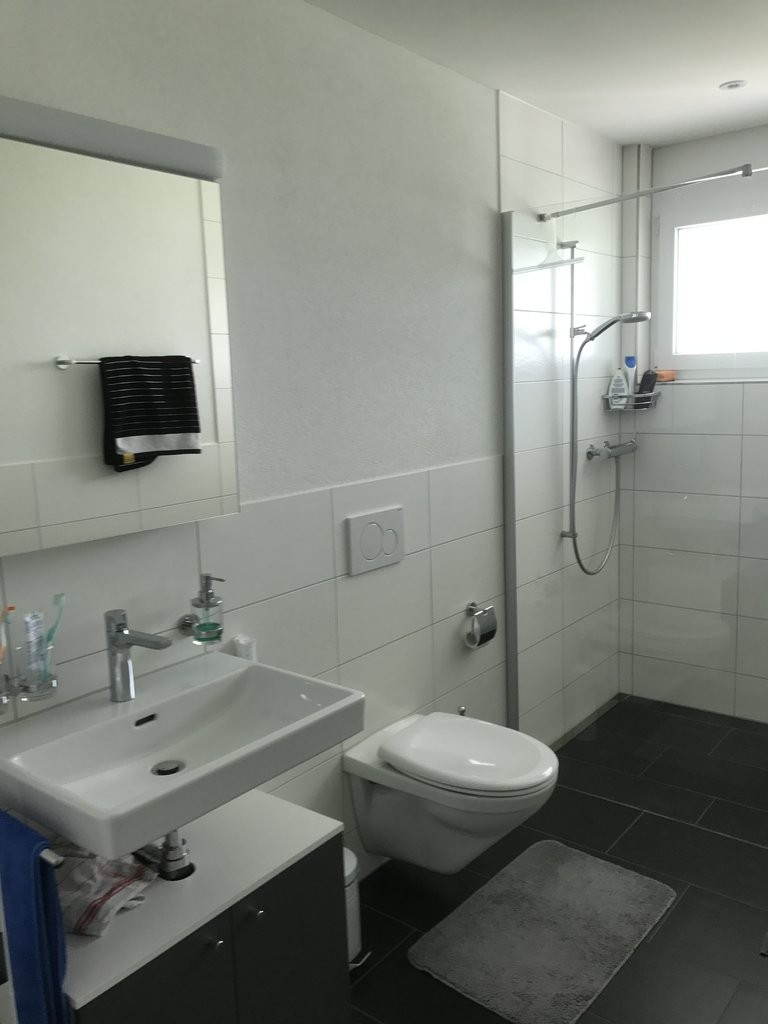 gemütliche Wohnung in freundlicher Überbauung - 3