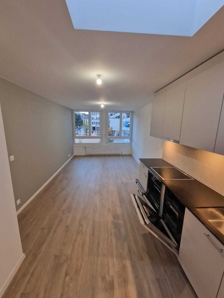 À saisir ! Splendide appartement au coeur de Genève ! - 1