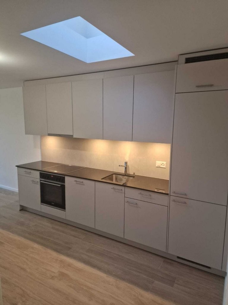 À saisir ! Splendide appartement au coeur de Genève ! - 2