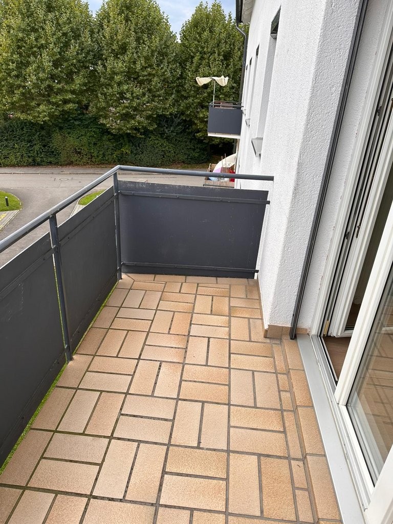 Kleine Oase.. ganz gross - 2