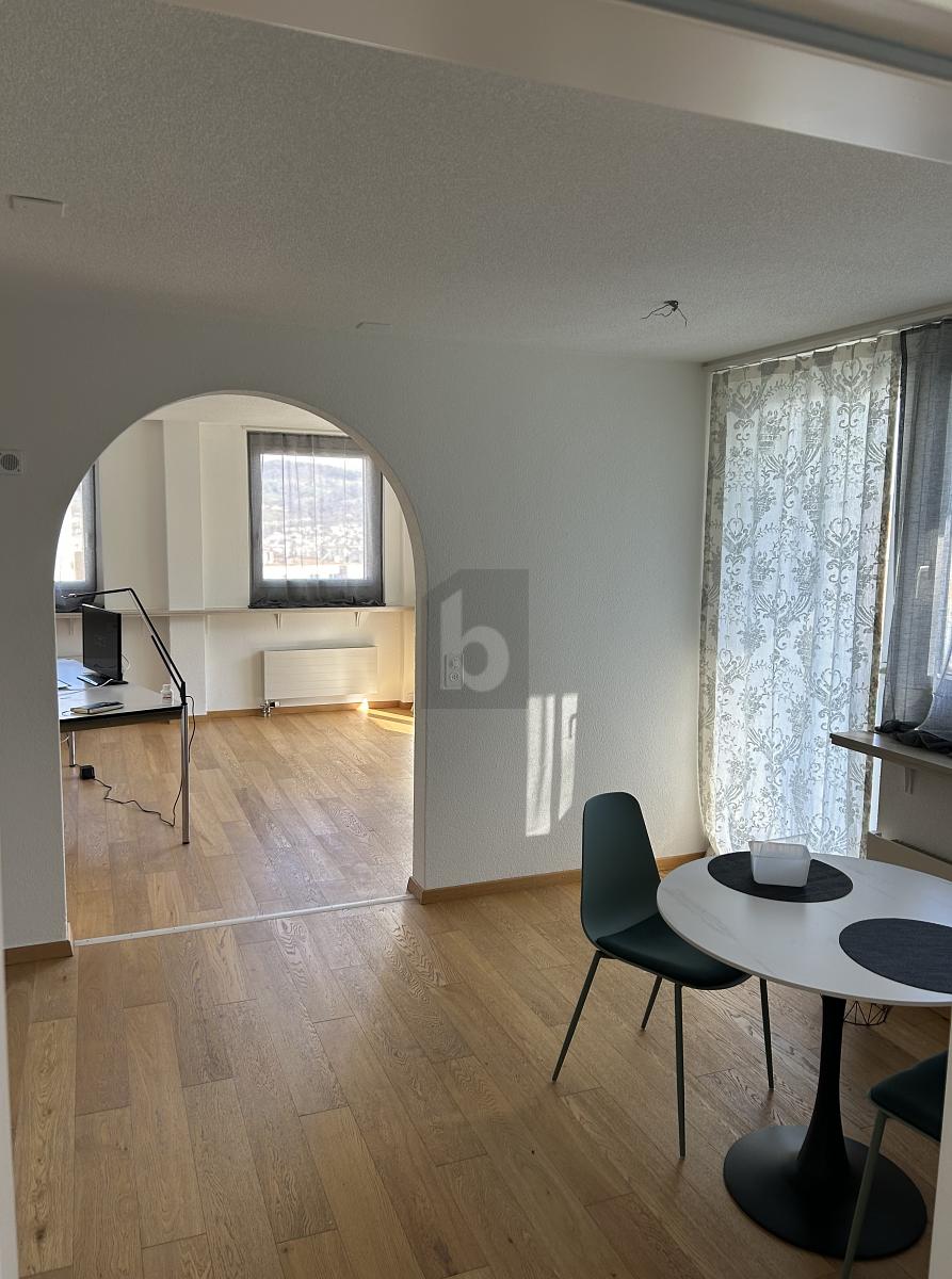 ARBEITSPLATZ MIT AUSSICHT AUF DEN ZÜRICHSEE - 2