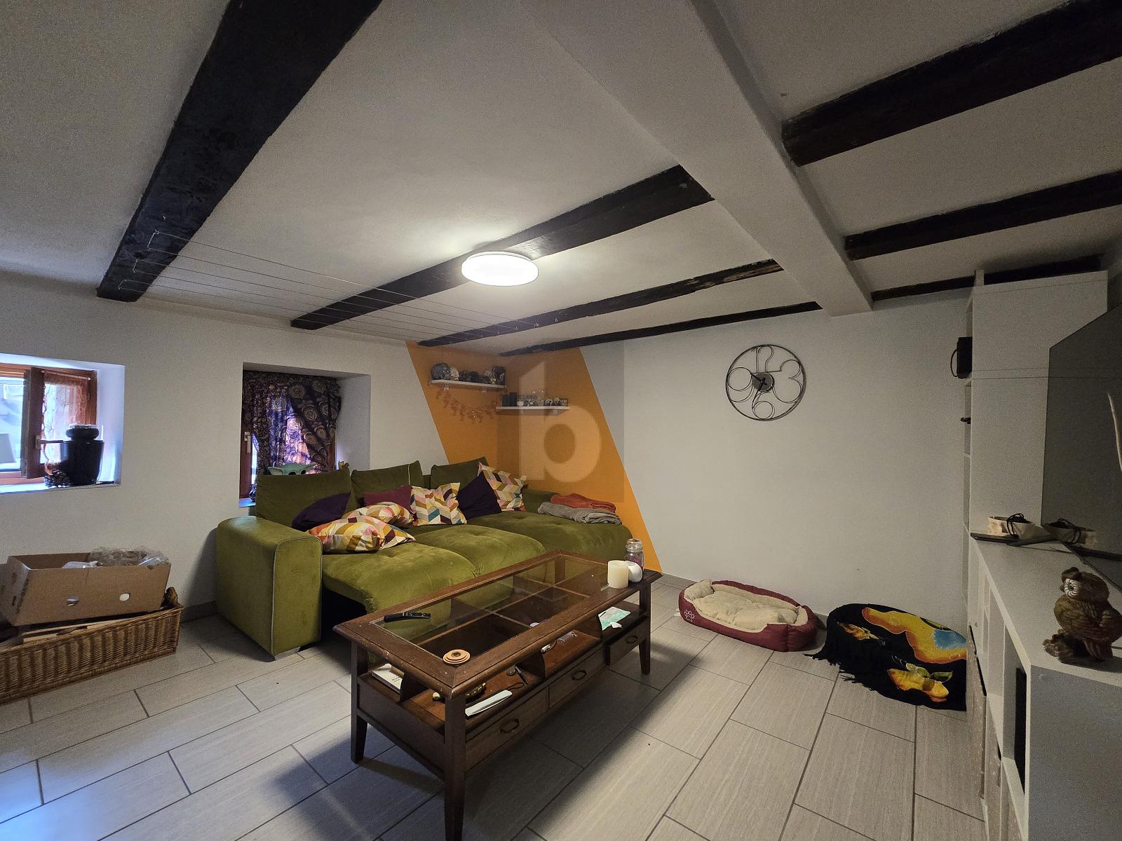 TRANQULLA E SPAZIOSA CON GIARDINO - 3