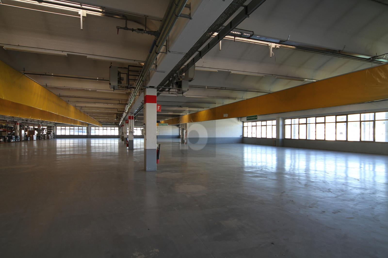 PER USO INDUSTRIALE CON MONTACARICHI - 1