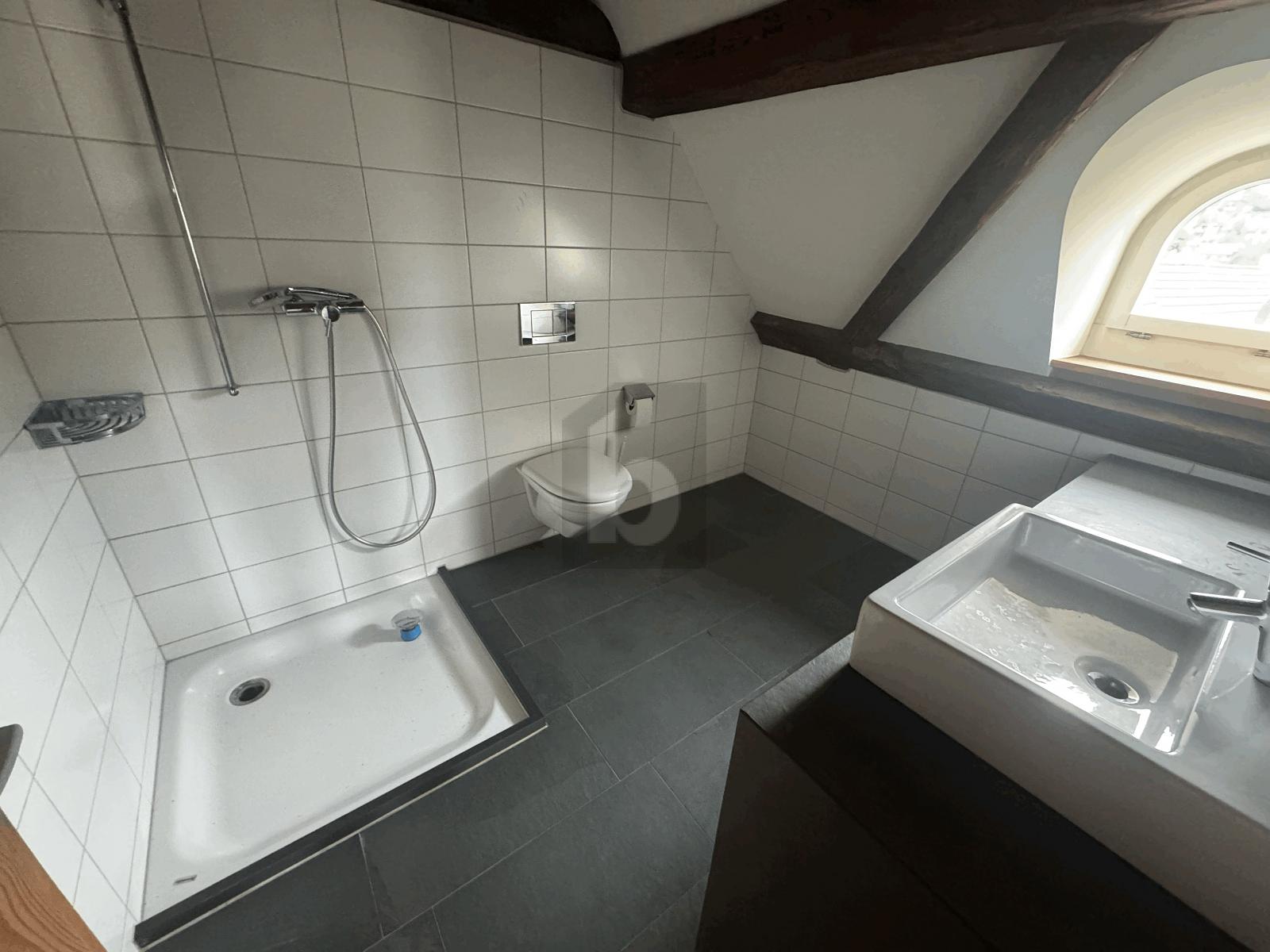 UNIKAT! HOCHWERTIG RENOVIERT MIT SICHTBALKEN! - 2