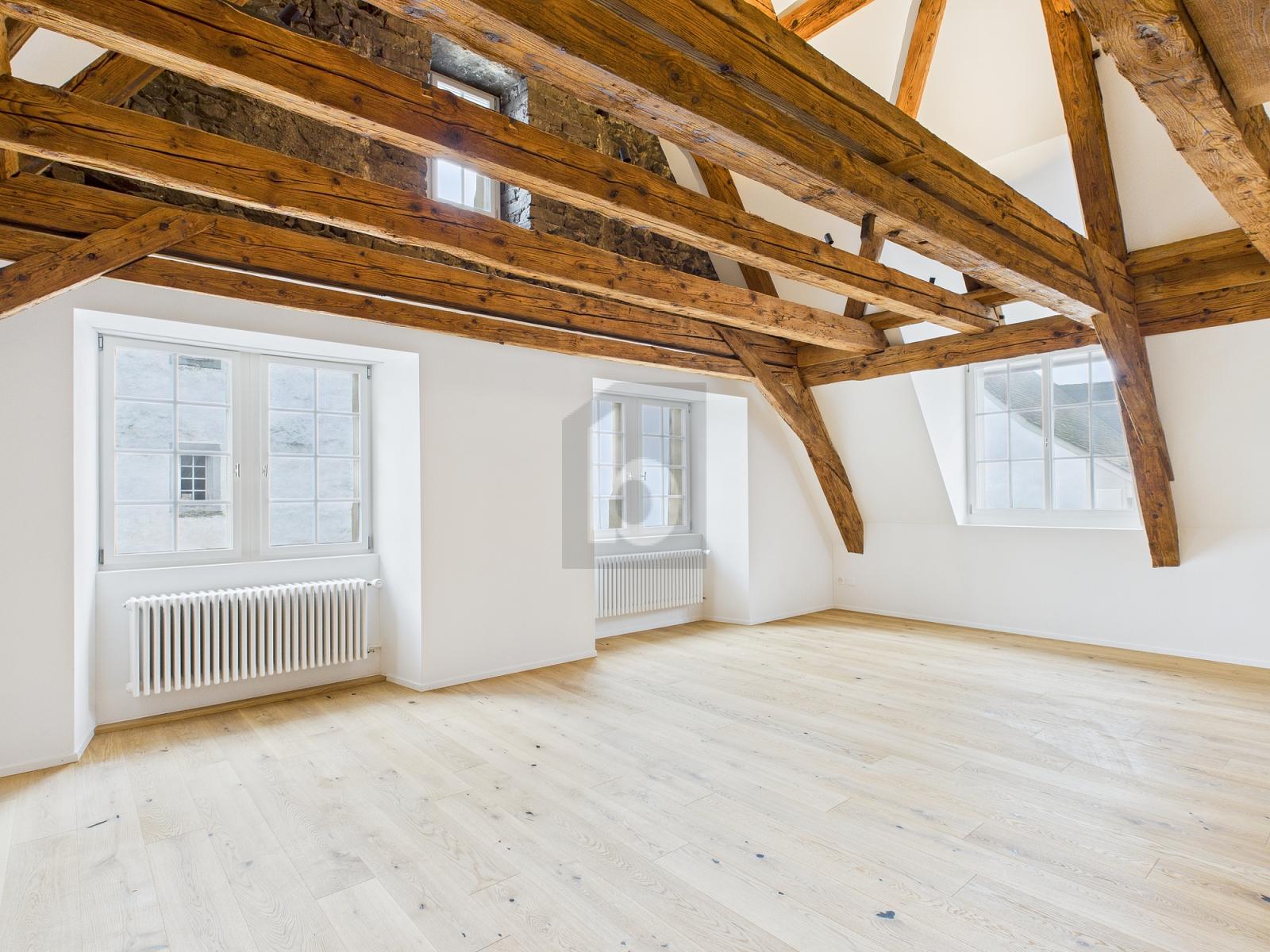 MODERNSTER STANDARD, HISTORISCH, BESTE LAGE - 0