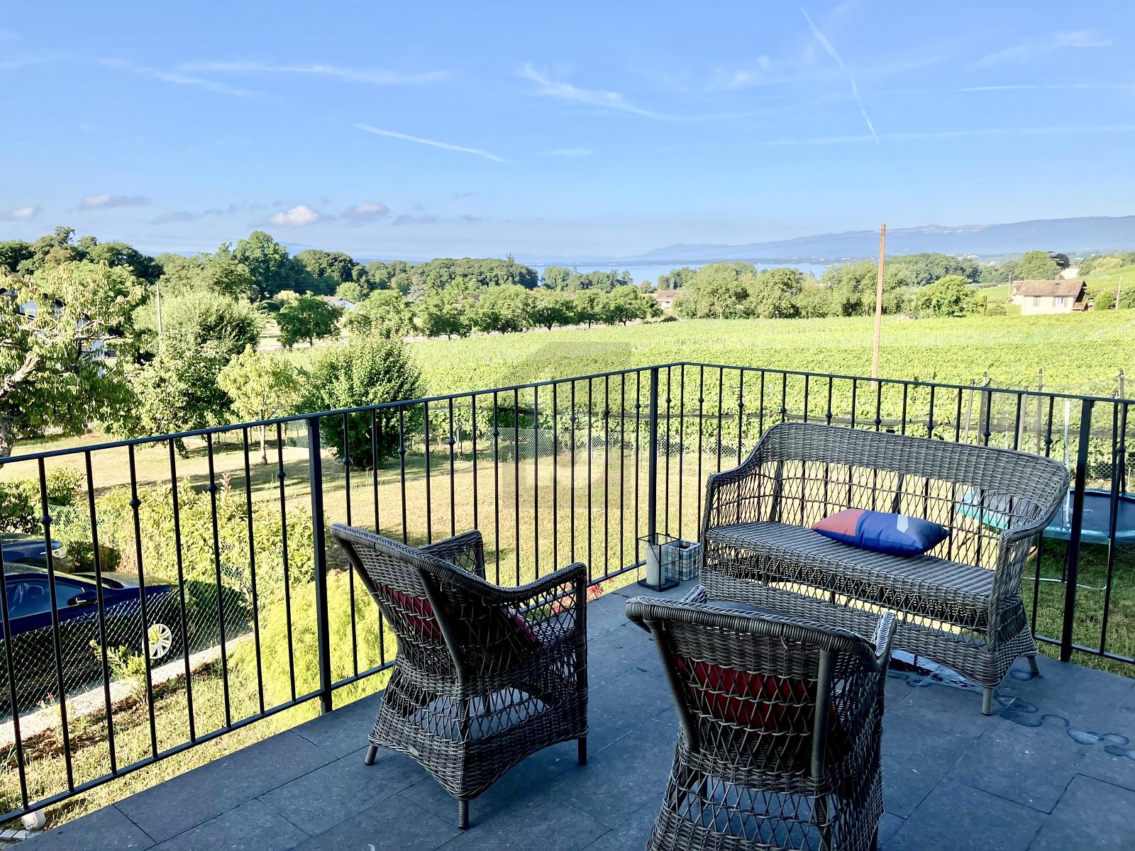 SPLENDIDE SPACIEUSE AVEC VUE LAC ET MONTAGNES - 3