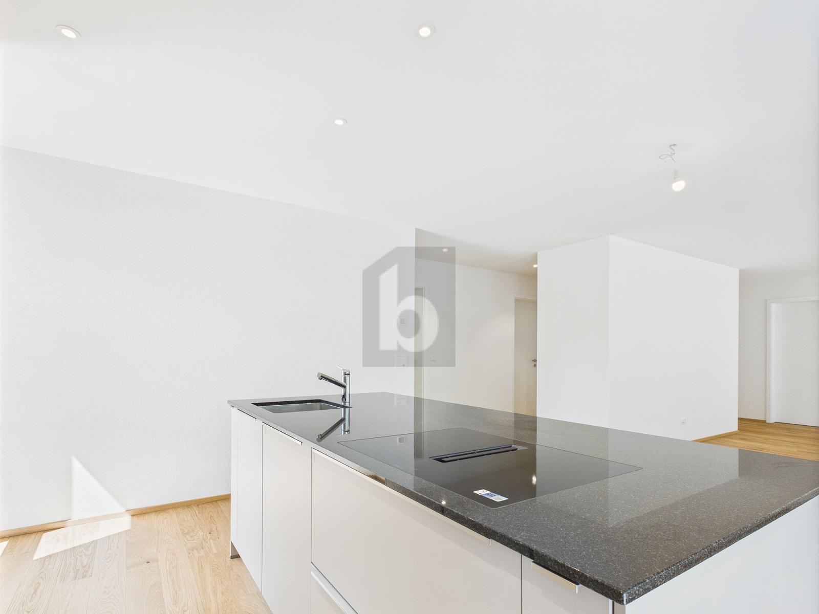 EIN HAUCH VON LUXUS - 1