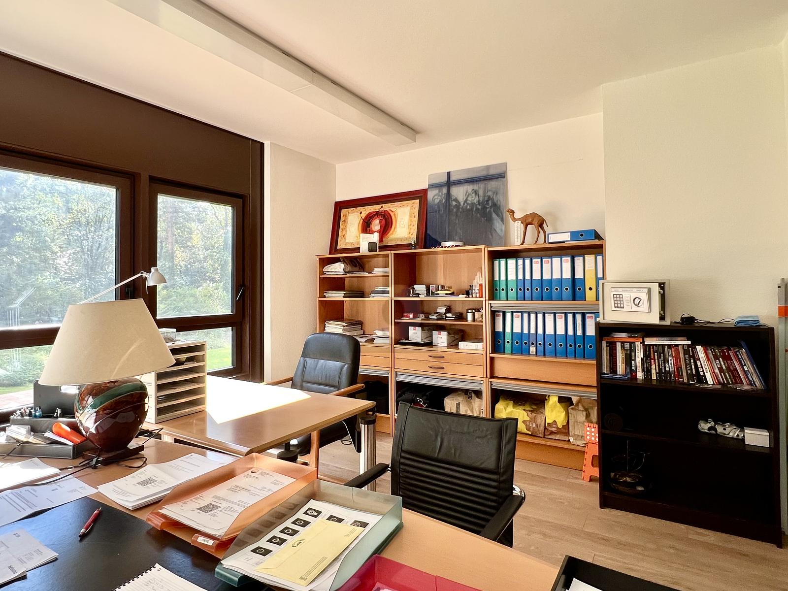 JOLI BUREAU ENSOLEILLÉ AU CALME FACE AUX ARBRES - 2