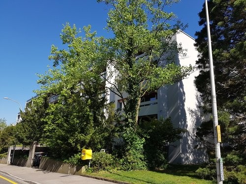 Büro-/Praxisräume Nähe Bahnhof und Inselspital - 0