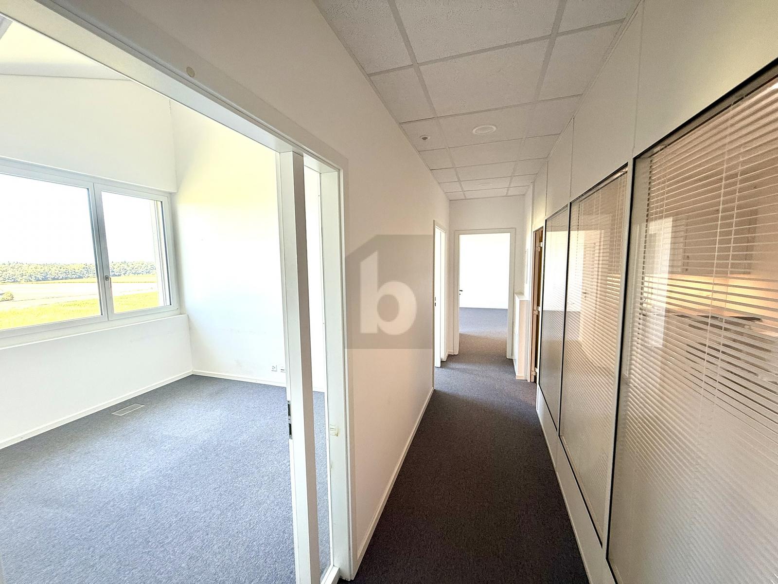 SPACIEUX ET CENTRAL - 3