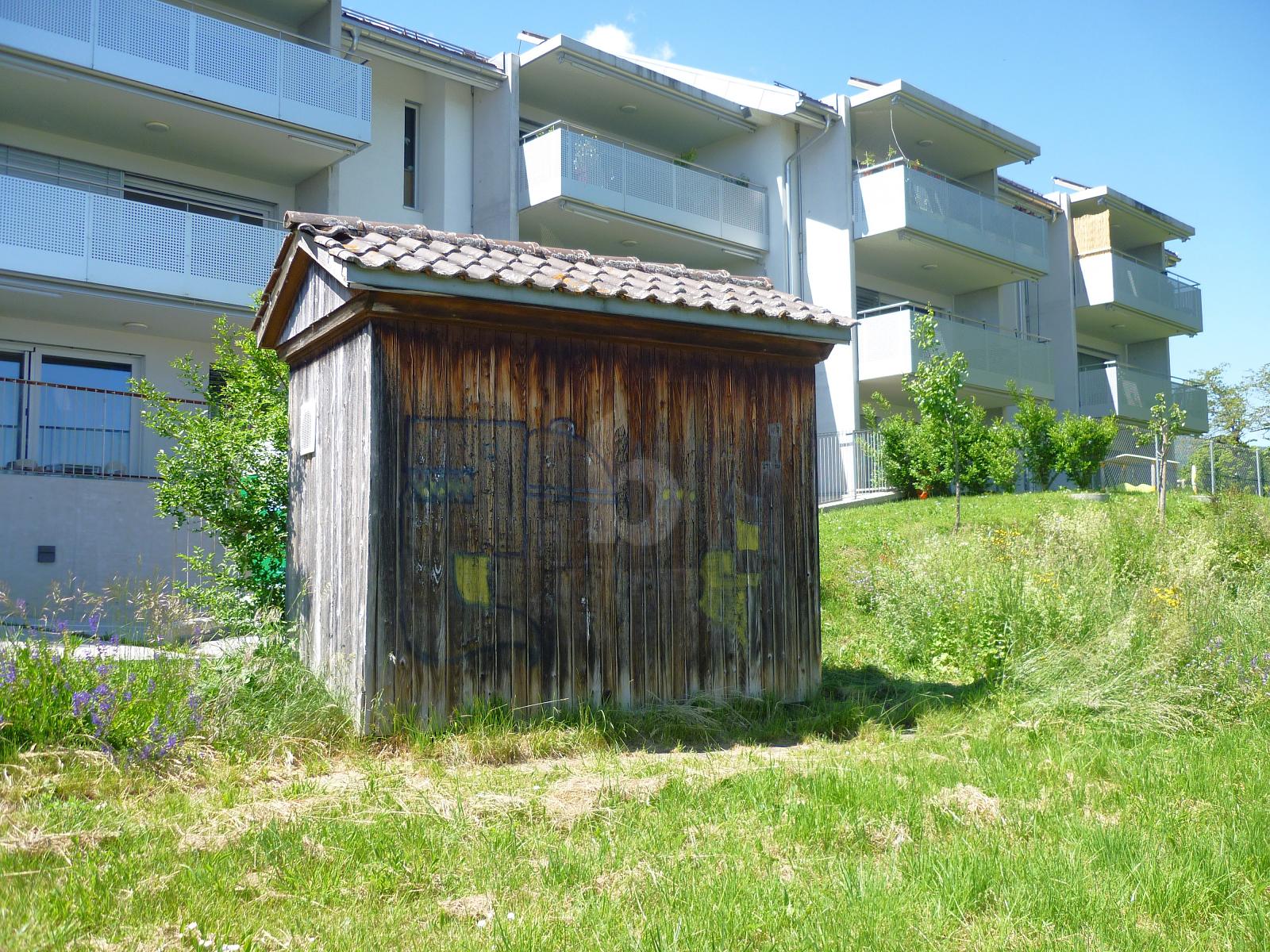 PETITE CABANE POUR STOCKAGE - 0