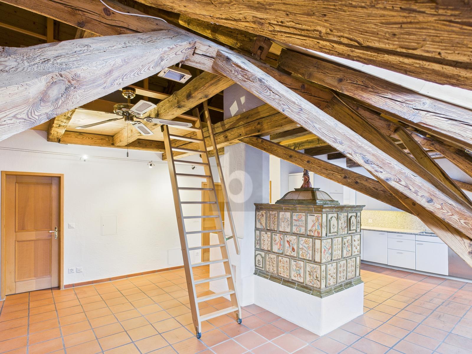 ALTBAU CHARME ZENTRAL NÄHE BAHNHOF - 0