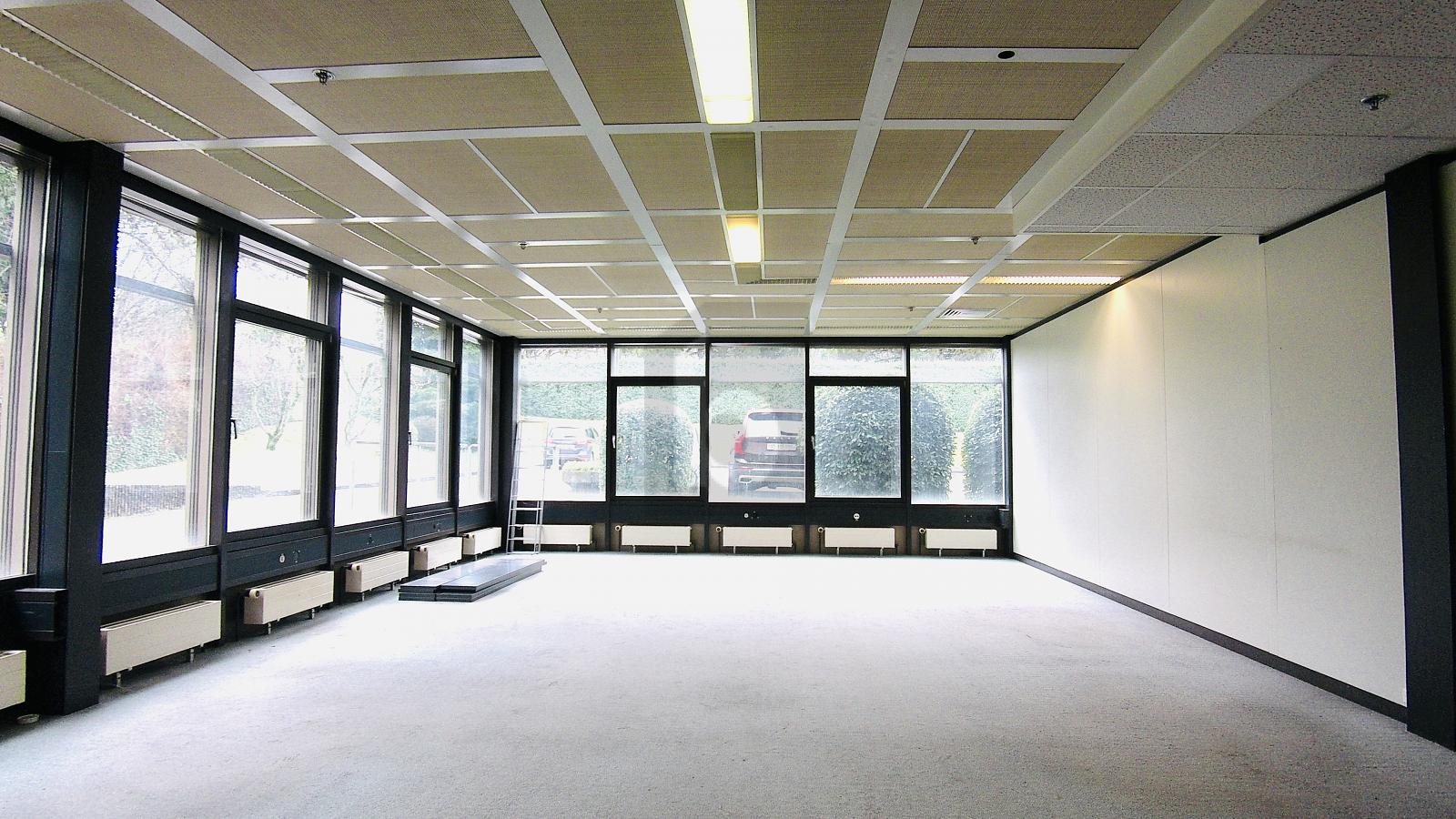 BUREAU LUMINEUX ET SPACIEUX - 0