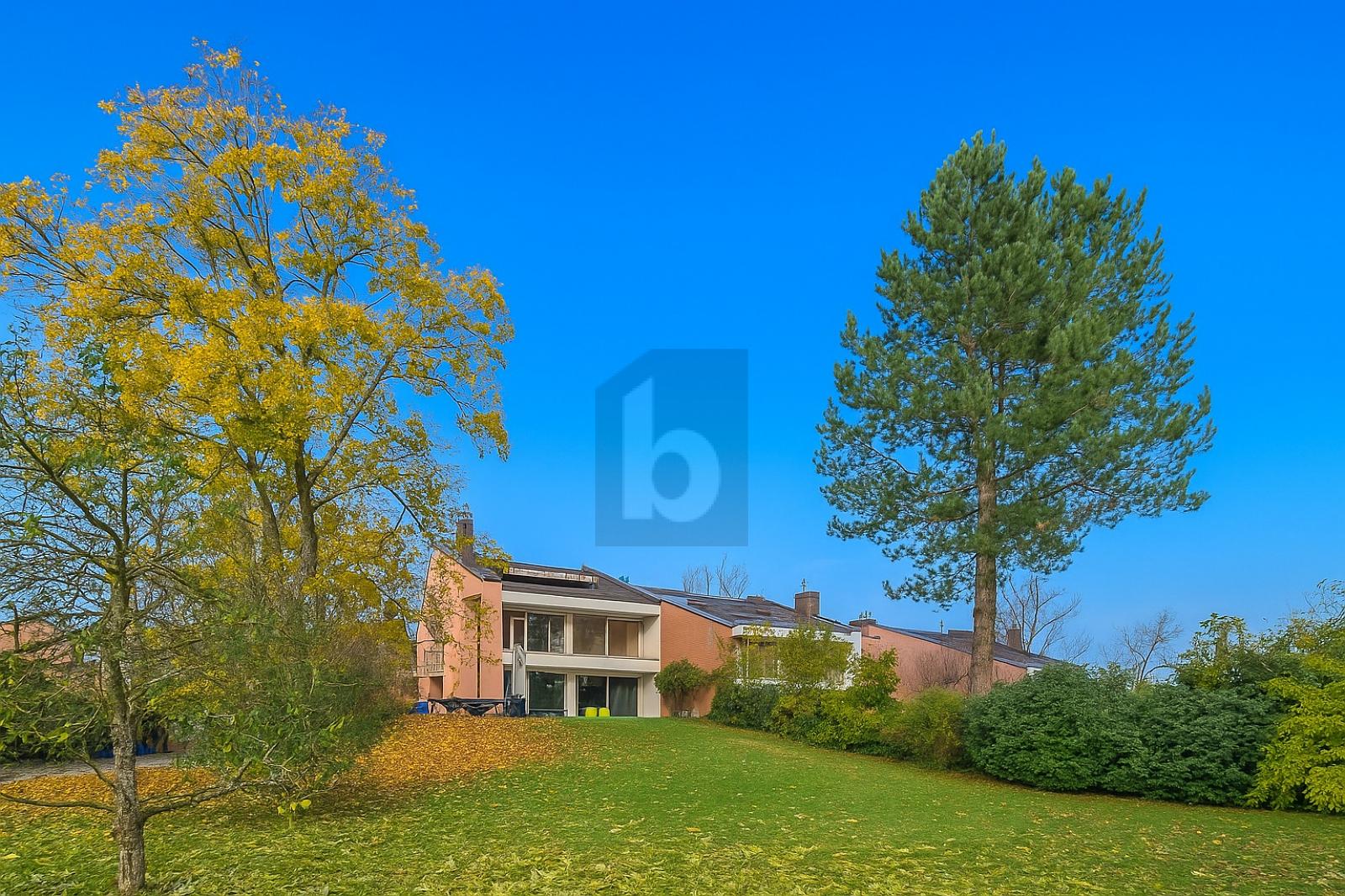 AU COEUR DE LA VERDURE - 0