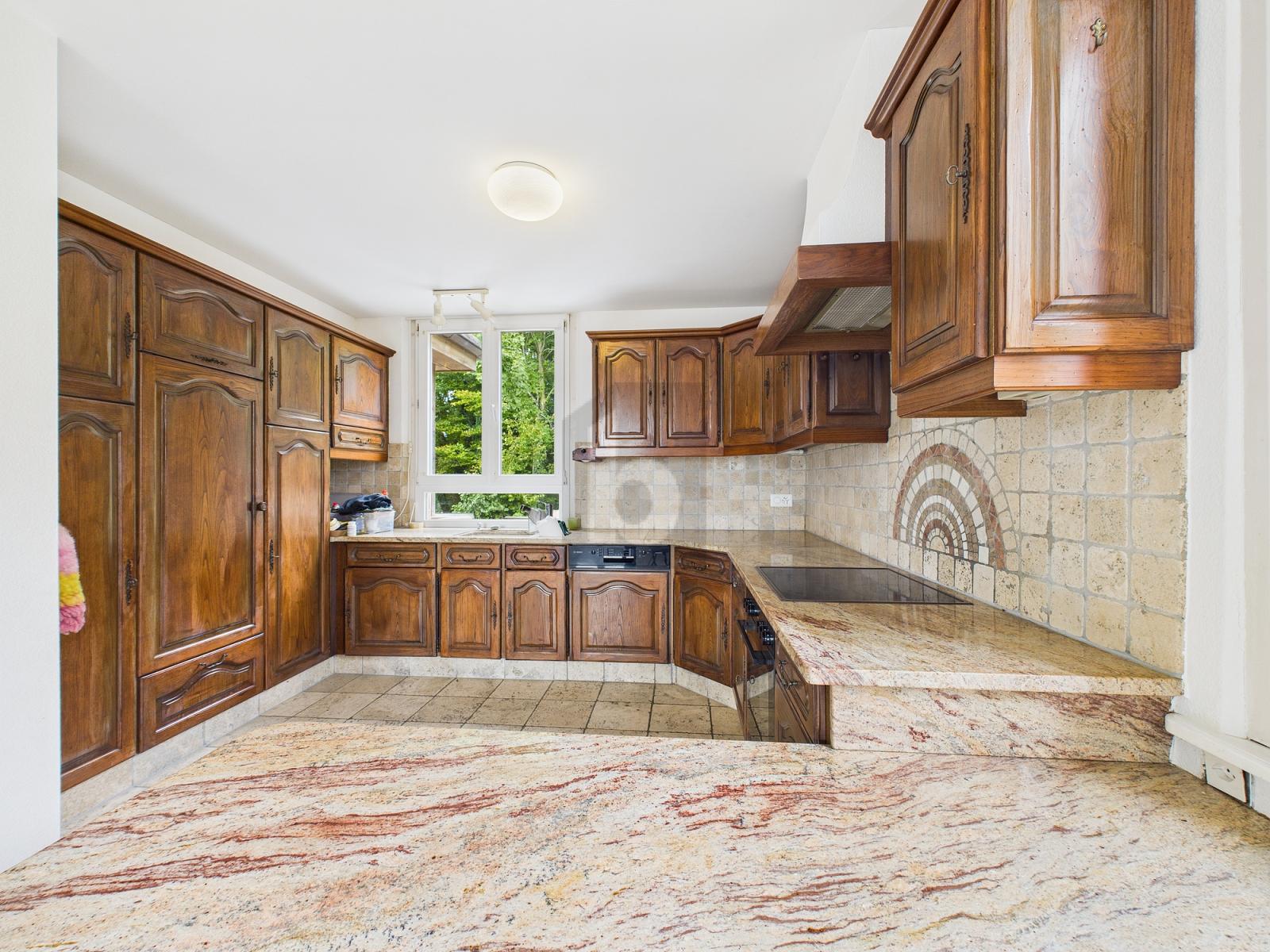 A DEUX PAS DU LAC, VUE IMPRENABLE - 3