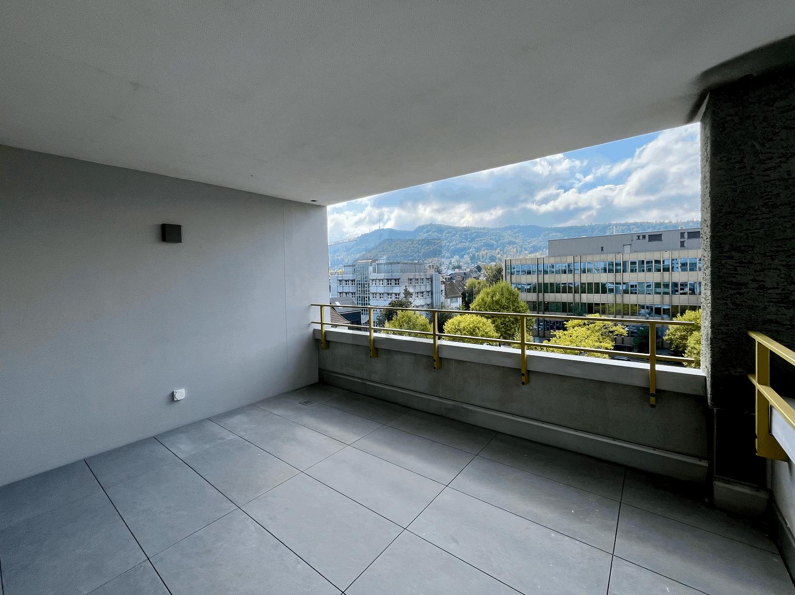 ERSTBEZUG: GROSSER BALKON, SICHT AUF DEN ÜETLIBERG - 0