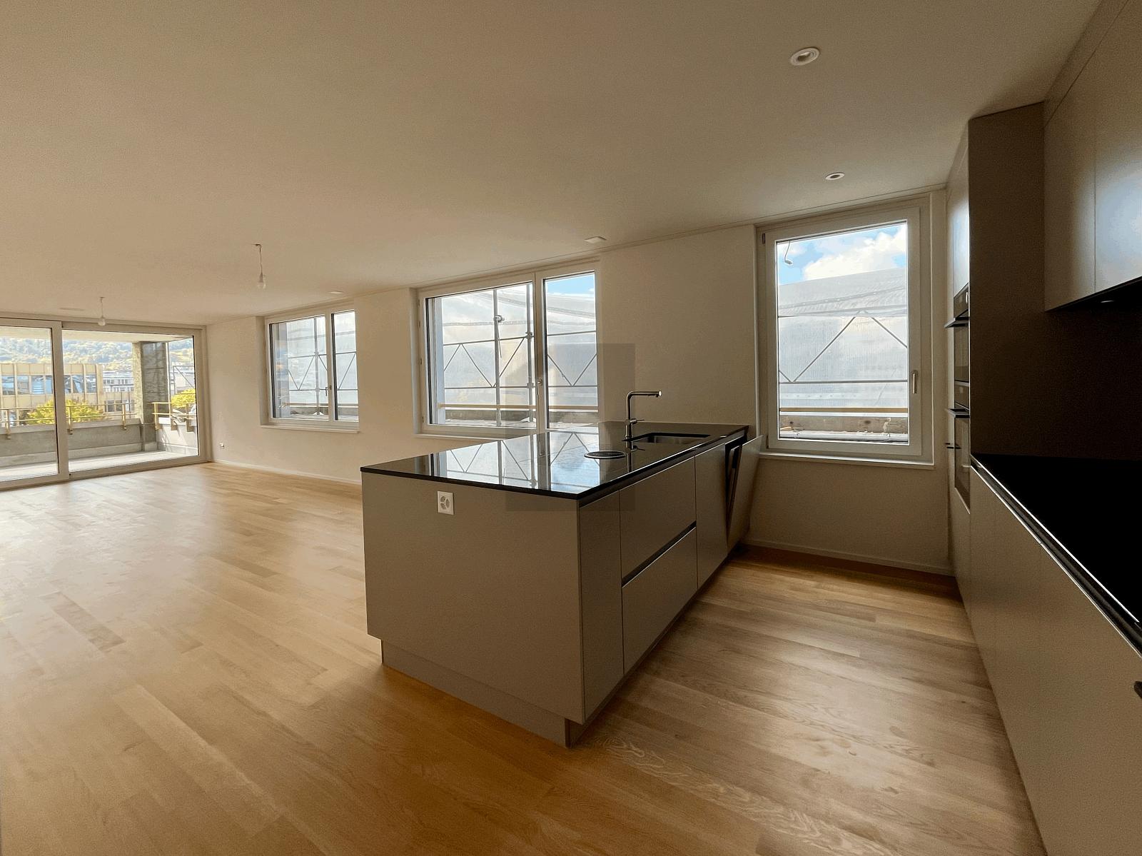 ERSTBEZUG: GROSSER BALKON, SICHT AUF DEN ÜETLIBERG - 1