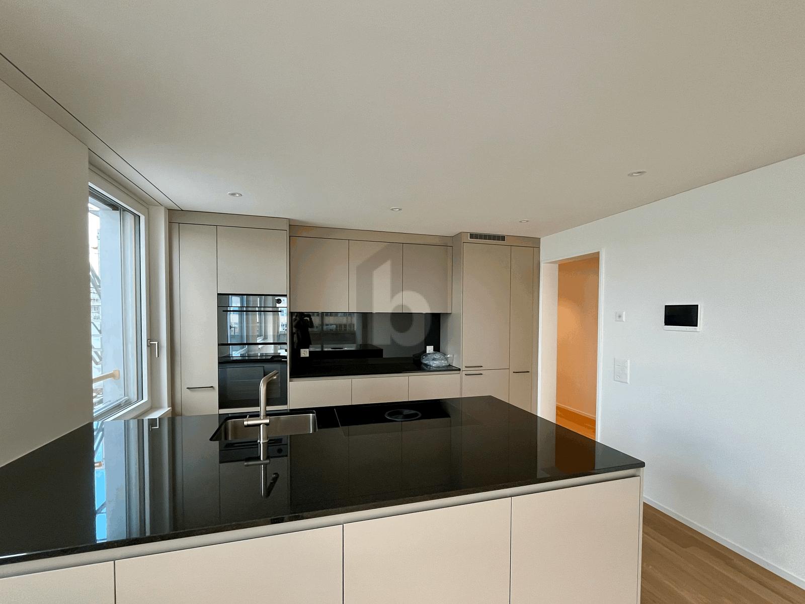 ERSTBEZUG: GROSSER BALKON, SICHT AUF DEN ÜETLIBERG - 2