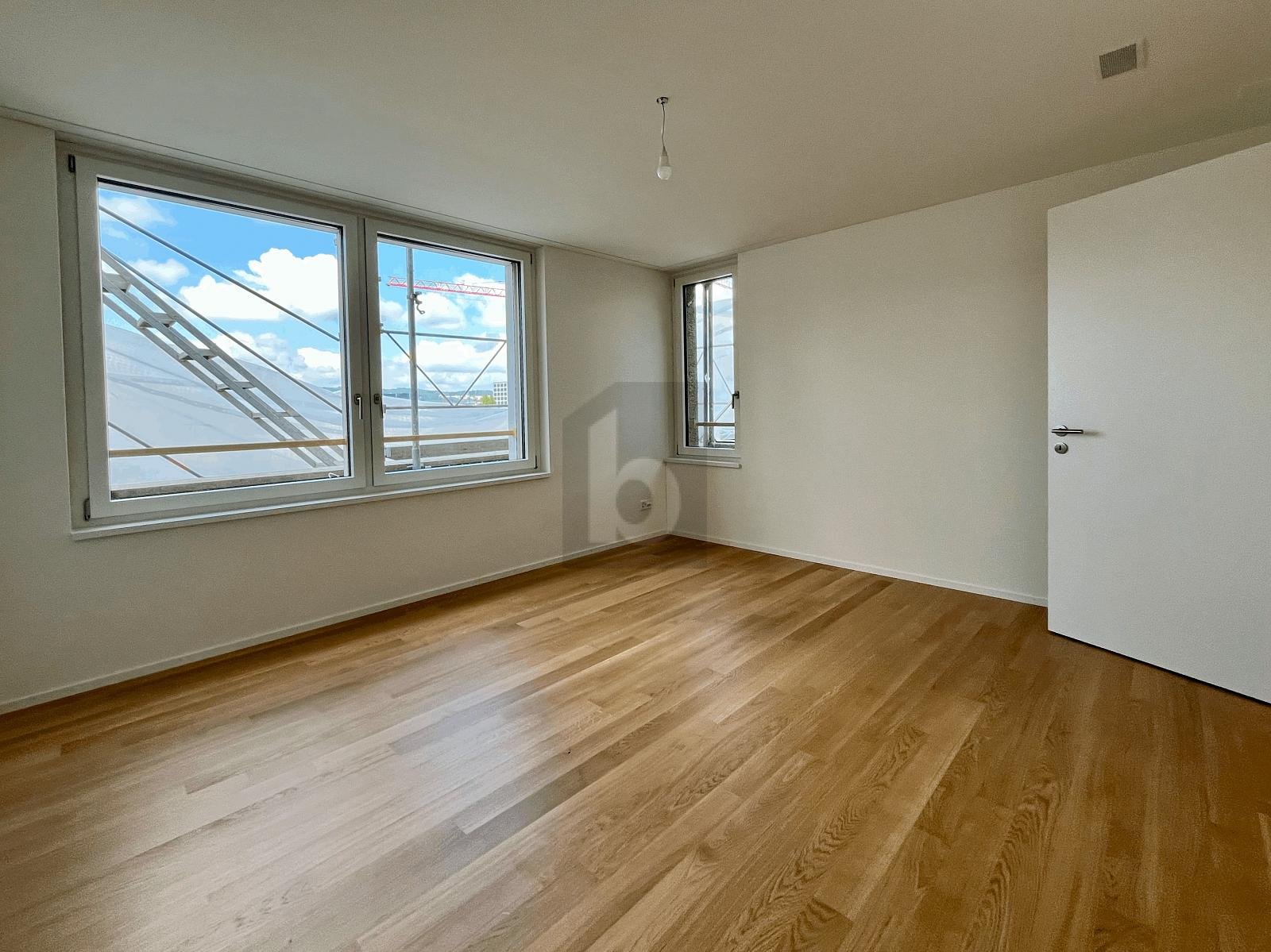 ERSTBEZUG: GROSSER BALKON, SICHT AUF DEN ÜETLIBERG - 3