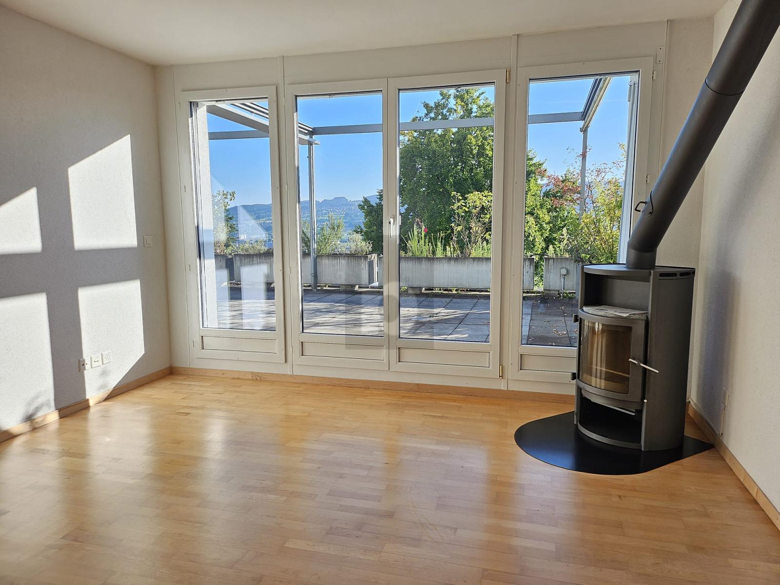 TRAUMHAFTE SICHT ÜBER DAS LIMMATTAL - 1