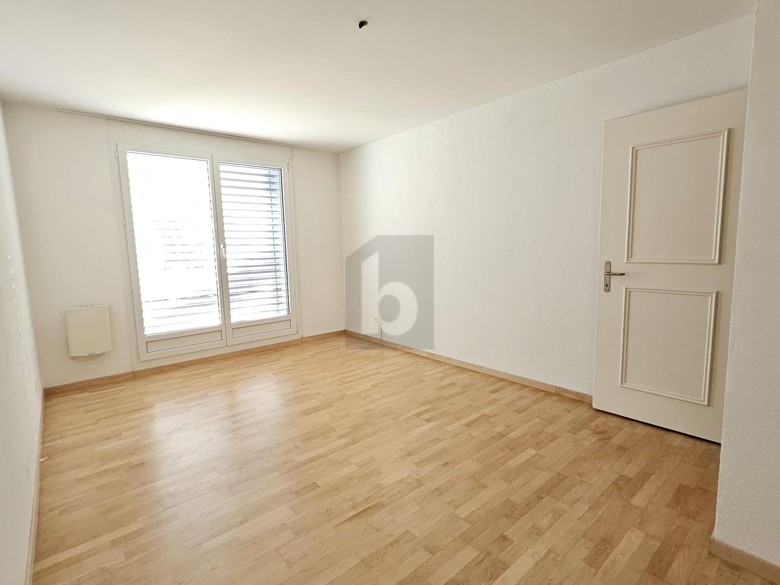 TRAUMHAFTE SICHT ÜBER DAS LIMMATTAL - 3