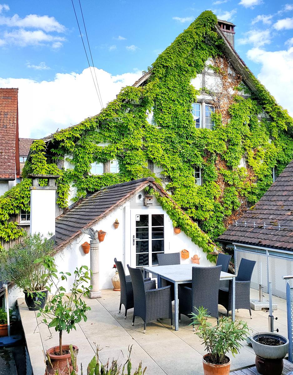 KOMPLETT MÖBLIERT MIT SONNENTERRASSE UND GARTEN - 4